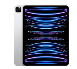 Apple iPad Pro 12.9英寸 2022年款