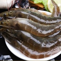 沃鲜汇 国产青岛大虾 16-17厘米(特大号) 盐冻4斤装