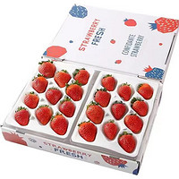 abay大果1000盒 大凉山红颜99草莓 1盒