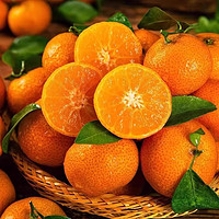 闽农语果 砂糖橘  优选9斤鲜果