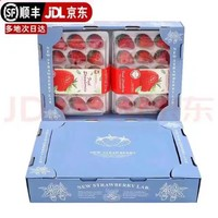 柚萝 大果 红颜99草莓 1盒