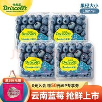 怡颗莓 当季云南蓝莓 Jumbo超大果国产蓝莓 125g*4盒