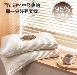某东京造 100%荞麦枕头