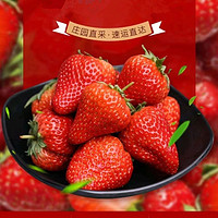 开春福利 10000箱 红颜99草莓 1.5斤装 单果30g+
