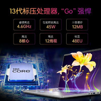acer 宏碁 非凡笔记本电脑轻薄本 非Go13i5-16G-1T-2.8K 14
