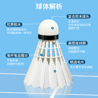 LI-NING 李宁 羽毛球G100室内外比赛训练用球飞行稳定耐打12只装