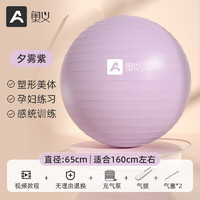 AOYI 奥义 瑜伽球 紫色 65cm