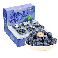 现摘！ 云南蓝莓 特大果 125g/6盒