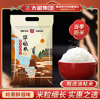 太粮 华稻农猫牙米5kg油粘米10斤南方籼米批发新米鲜米长粒大米