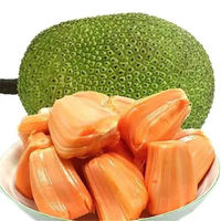 惜音 越南进口 红肉菠萝蜜 8-10斤一整个