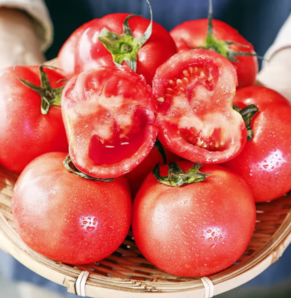 甜盟 普罗旺斯西红柿 中果 4.5斤装