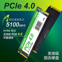 CHUXIA 储侠 2TB SSD固态硬盘M.2接口PCIe4.0兼容PCIe3.0读速5000MB/S NVMe 长江晶圆升级版
