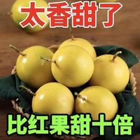 达妮妮 钦蜜9号黄金百香果新鲜果产地直发特产大果水果新鲜