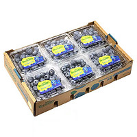 鲜程祥合 特大果 蓝莓 125g*12盒 单果15-18mm