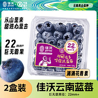 JOYVIO 佳沃 云南精选蓝莓巨无霸22mm+ 2盒装 约125g/盒 生鲜 新鲜水果