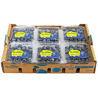 橙央 蓝莓 125g*6 盒 单果12-14mm