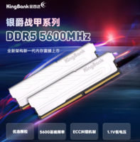 KINGBANK 金百达 银爵系列 DDR5 5600MHz 台式机内存 马甲条 白色 32GB（16GB*2）