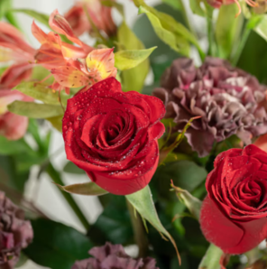 某东鲜花 康乃馨红玫瑰鲜花花束 情人节520礼物送女友送老婆