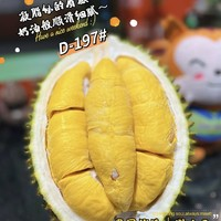 龙觇 泰国进口 猫山王 榴莲 2-3斤保4房