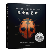 《中国国家地理：昆虫的艺术》（赠明信片）