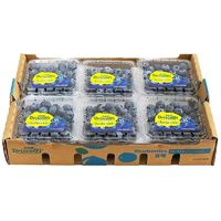 黄花地 特大果 蓝莓 125g*6盒 果径15-18mm