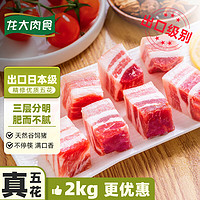 LONG DA 龙大 肉食 猪五花肉块2kg