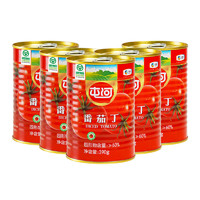屯河 番茄罐头火锅炒意面酱 5罐*390g
