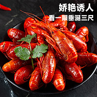 喵满分 湖中醉麻辣/蒜蓉小龙虾700g*5盒3.5kg新虾上市