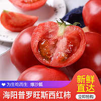 佑嘉木 烟台海阳普罗旺斯西红柿   4.5斤