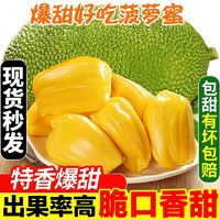海南岛 海南三亚黄肉菠萝蜜19-21斤整个