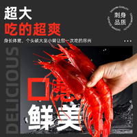 遇上鲜 特大红魔虾新鲜活超大刺身级速冻非西班牙甜虾牡丹虾