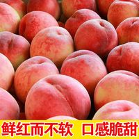 万荣苹果 万荣鲜桃 水蜜桃 净重4.8斤彩箱 单果160g