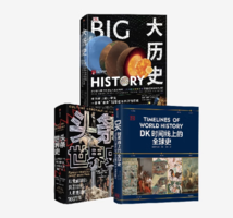 《大历史+头条世界史+DK时间线上的全球史》（套装3册）