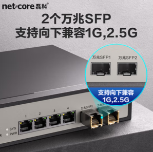 netcore 磊科 GS6 2.5G交换机4个2.5G电口+2个万兆SFP光口