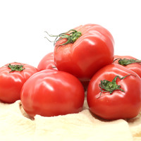 哪咤豆豆 山东粉番茄沙瓤生吃西红柿 2.5kg