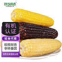 珍谷诱惑 23年新鲜糯玉米 有机玉米200g/根 甜糯玉米棒 真空玉米 轻食苞米