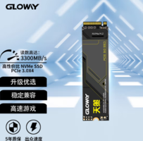 GLOWAY 光威 天策系列 SSD固态硬盘 512GB