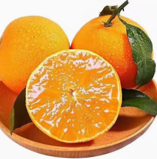 四川青见爱媛果冻橙5斤70mm80mm