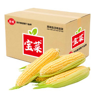 京百味 佳农宝菜 新鲜水果玉米 5斤装