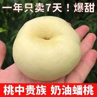 正宗蒙阴 头茬 白玉奶油蟠桃 净重2斤 （7-9个）