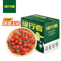 GREER 绿行者 樱桃番茄2kg500g*4盒 源头直发串爽脆甜小西红柿生鲜水果