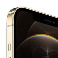 Apple 苹果 iPhone 12 Pro Max系列 A2412国行版 手机 256GB 金色
