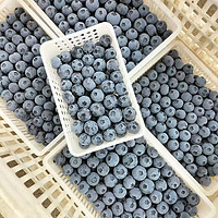 蓝莓 125g*6盒 单果12-14mm