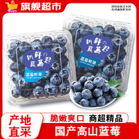 京世泽 国产高山蓝莓 时令蓝莓水果 12盒 15-18mm【大果】