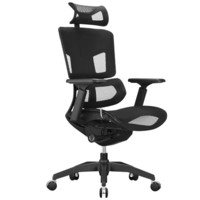 ERGOUP 有谱 fly mini 人体工学电脑椅 黑色 升级版
