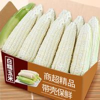 商超品质 新鲜现摘 白糯玉米 4.5斤装