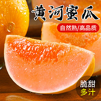 芒无双 超清甜 黄河蜜瓜 10斤装 3-4个大果