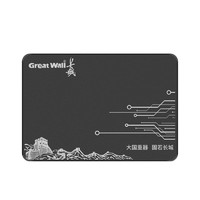 Great Wall 长城 GW520 SATA3.0 固态硬盘 240GB