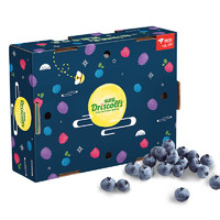 怡颗莓Driscoll’s 秘鲁进口蓝莓 原箱装12盒约125g/盒