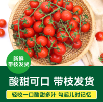 番茄中的”爱马仕“！绿行者 散串樱桃番茄 500g*4盒